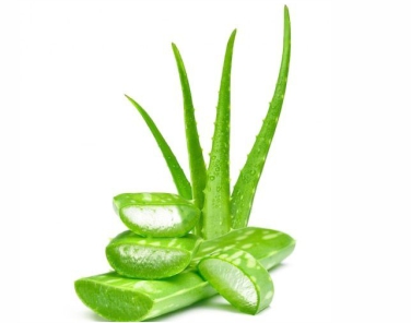 Aloevera