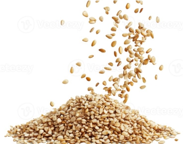 Sesame