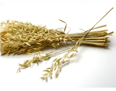Oat Straw