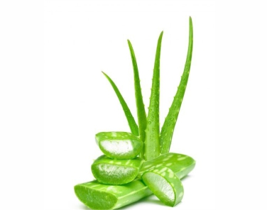 Aloevera Extract