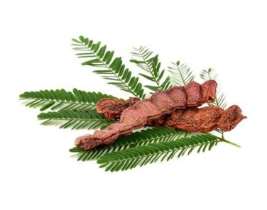Shikakai Extract
