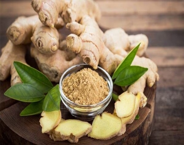  Ginger