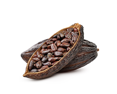 Cocoa Solids