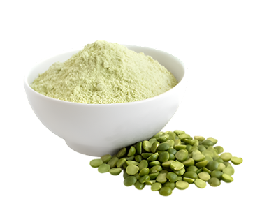Pea Protein