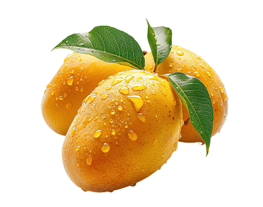 Alphonso Mango