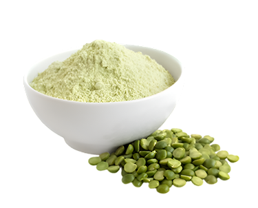 Pea Protein
