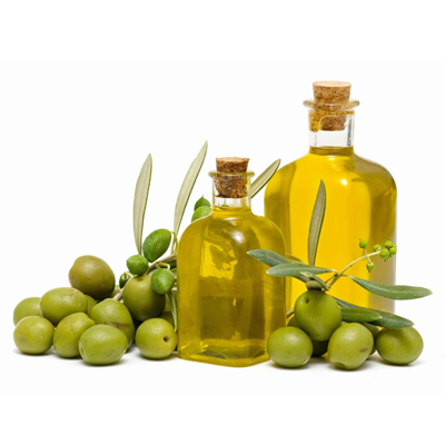 Olive (Olea Eeuropaea)