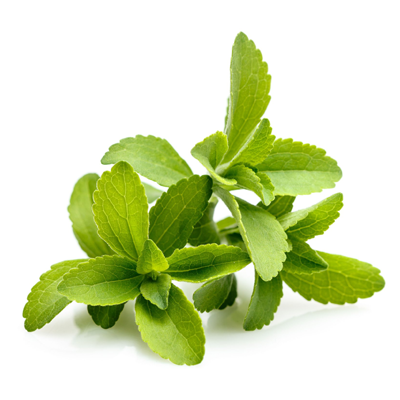 Stevia Herb