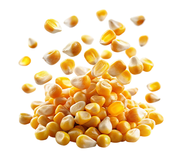 Corn Solids